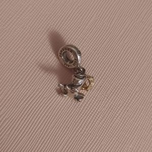 Retired Princess & Frog Charm